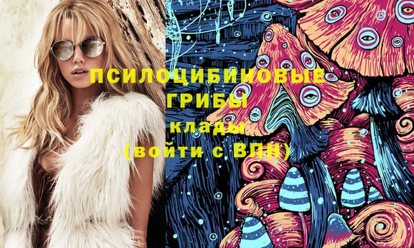 гидропоника Новозыбков