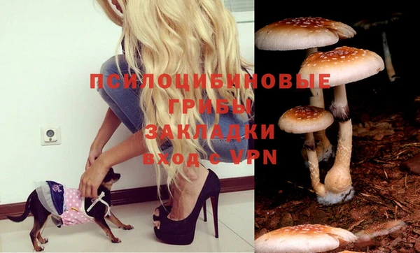 гидропоника Белокуриха