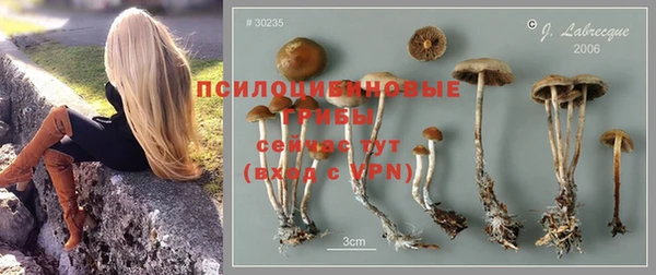 МДПВ Белоозёрский