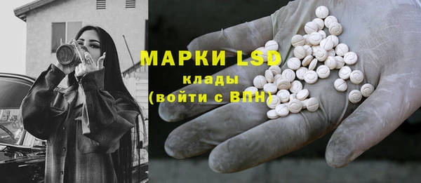 гидропоника Новозыбков